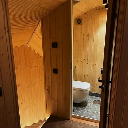 Northern Lights 伊纳利