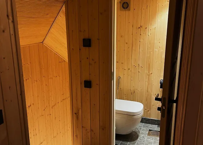 Northern Lights Inari